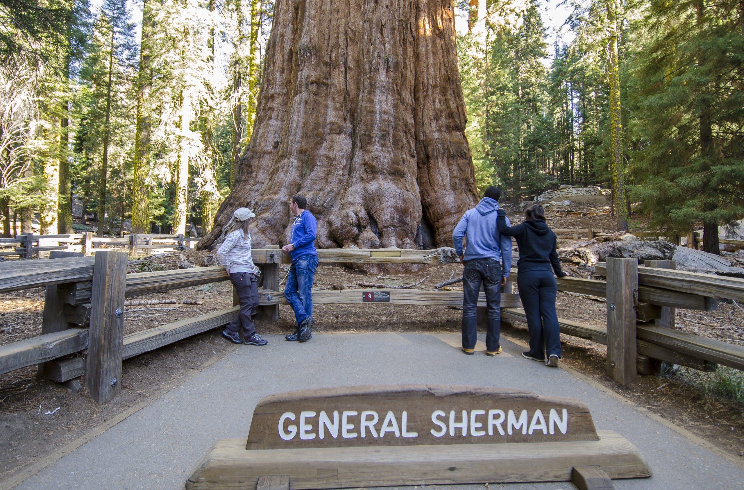 The General Sherman Tree - Sequoia & Kings Canyon National Parks ...
