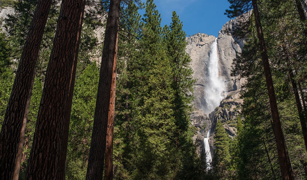 Yosemite Waterfalls in Spring | Tips for Hiking Safely