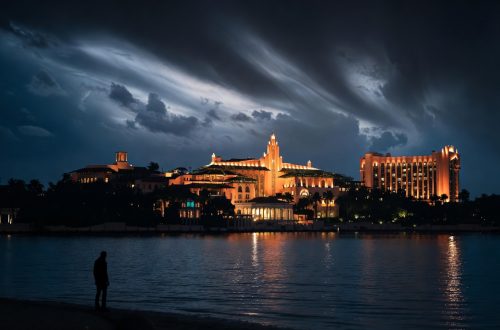 Mar-a-Lago Breach, Austin Tucker Martin, Secret Service Response