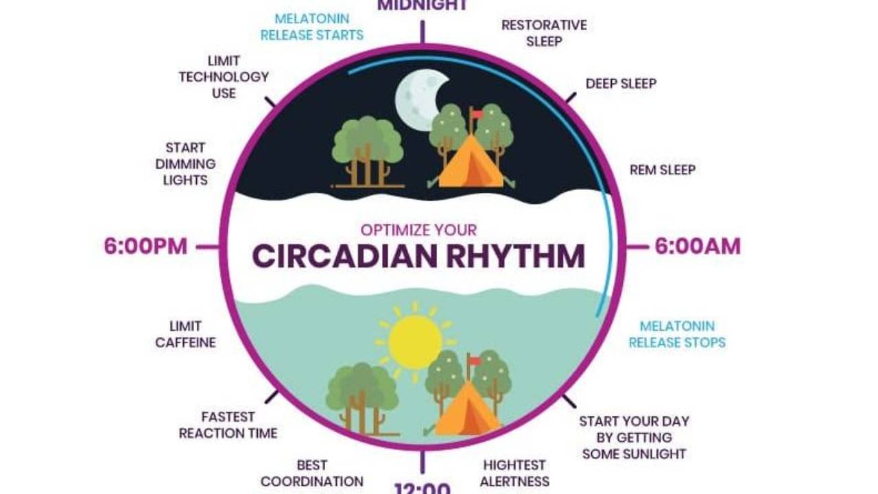 How to Follow Your Circadian Rhythms