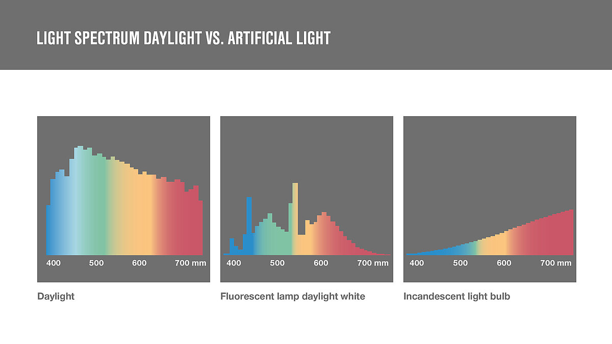 Artificial light vs. daylight - the differences | insights by LAMILUX