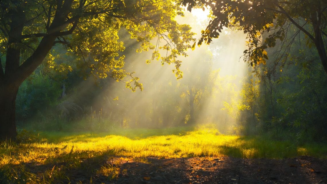 Natural Light Exposure, Circadian Rhythm, Serotonin Regulation