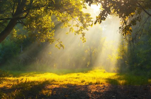 Natural Light Exposure, Circadian Rhythm, Serotonin Regulation