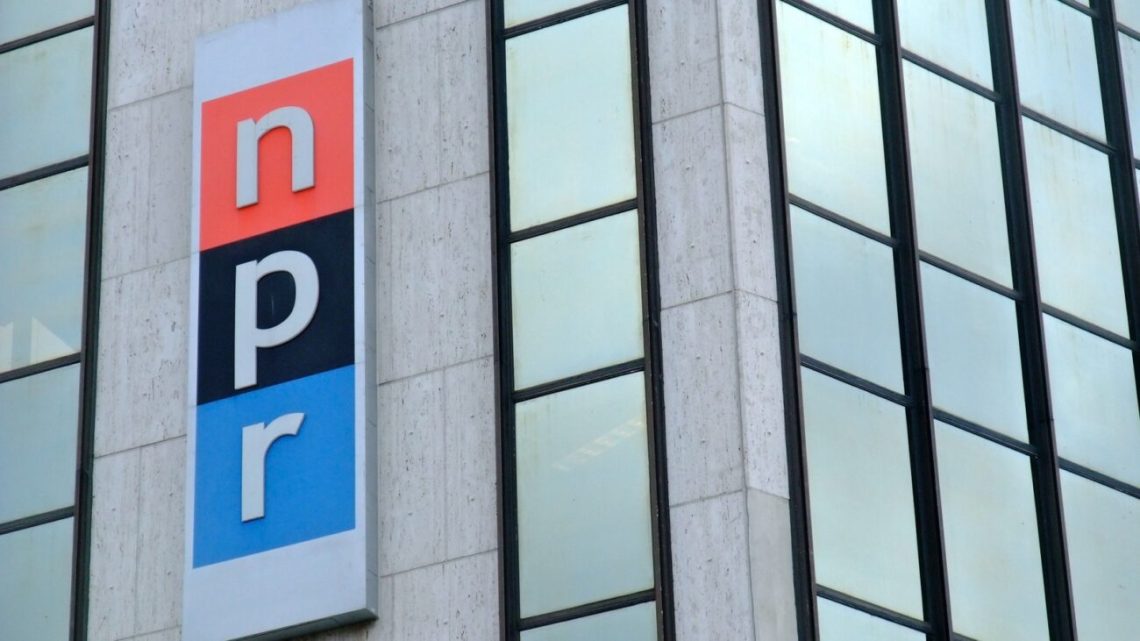 USCIS immigration backlog, 11.6 million pending applications, processing delays