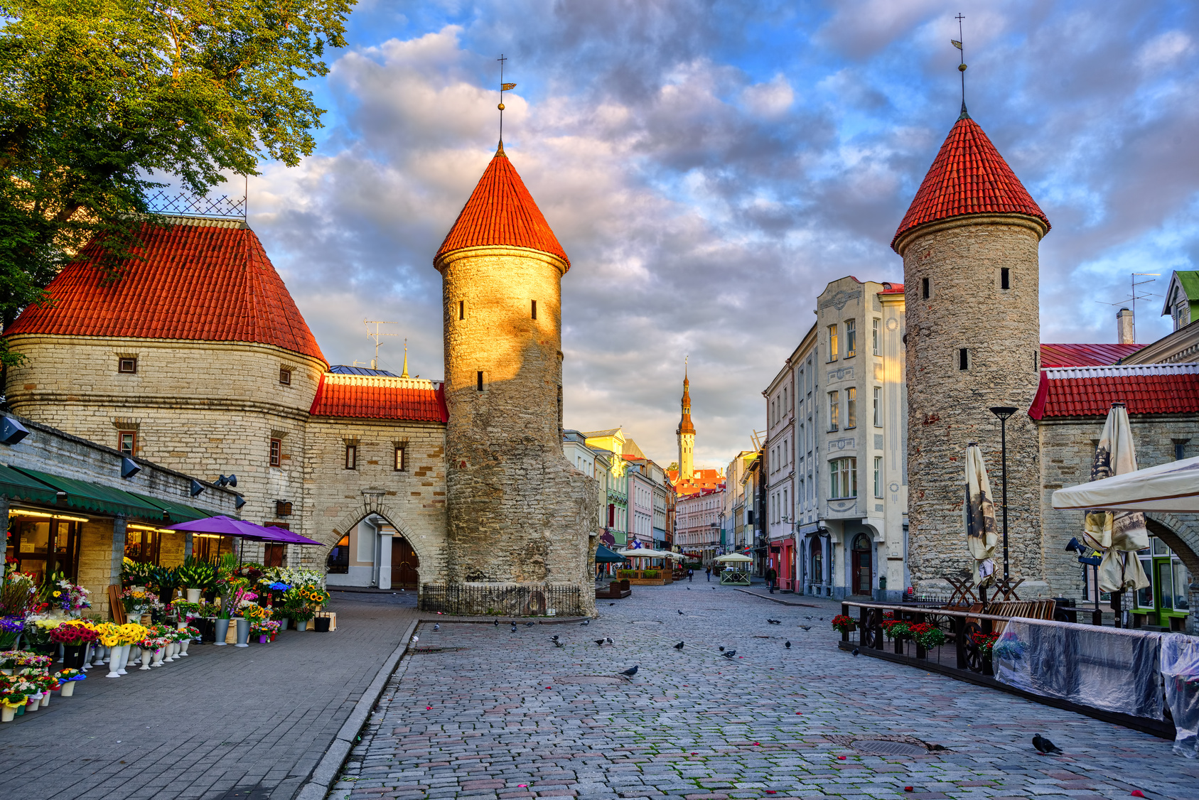Tallinn Old Town Walking Tour | Medieval town - Nordic Experience